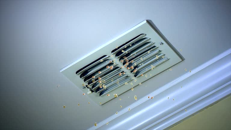 Best Commercial Air Duct Cleaning  in Northdale, FL