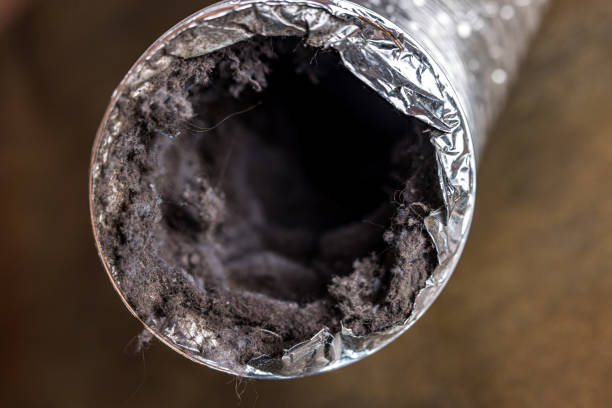 Best HVAC System Cleaning  in Northdale, FL