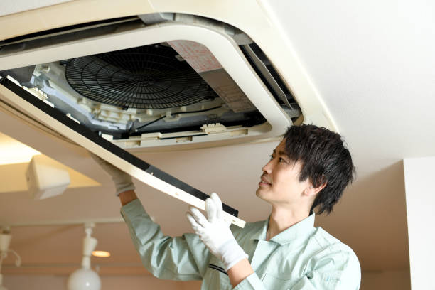 Best Duct Cleaning for Homes  in Northdale, FL