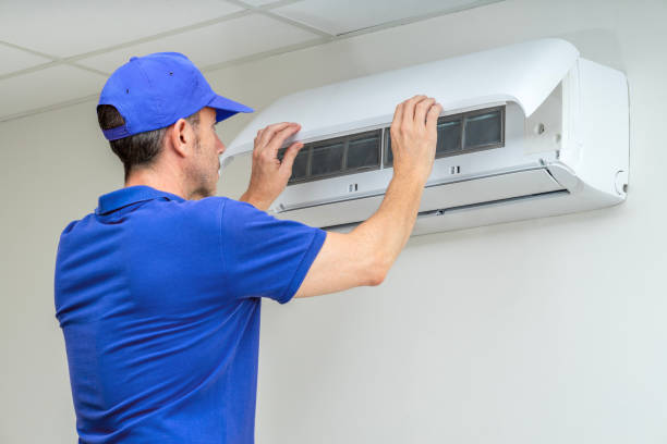 Air Duct Mold Removal in Northdale, FL