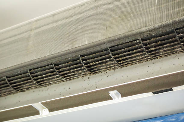 Best Ductwork Cleaning Services  in Northdale, FL