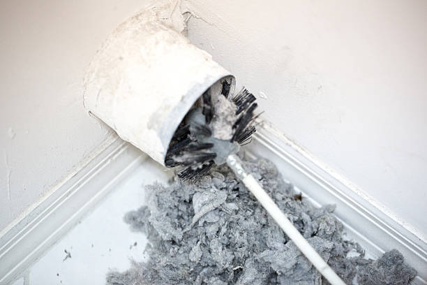 Best Air Duct Cleaning Near Me  in Northdale, FL