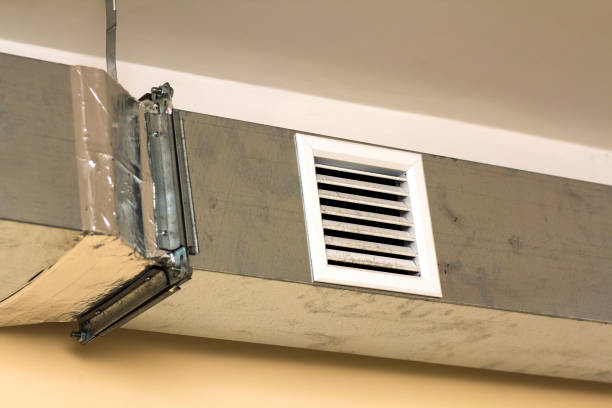 Best Ventilation Cleaning Services  in Northdale, FL